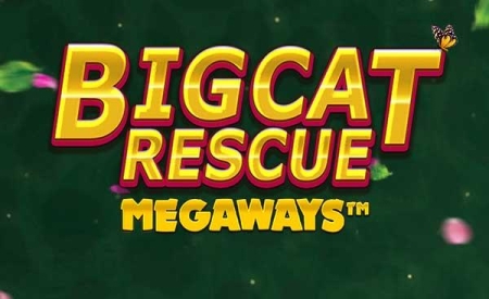 Big Cat Rescue Megaways