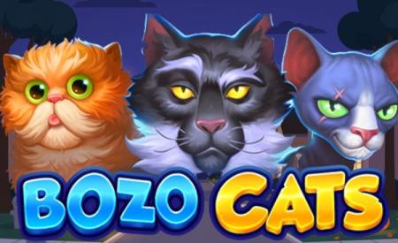 Bozo Cats