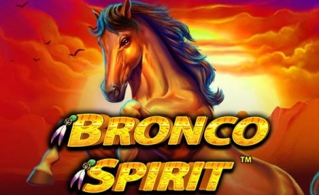 Bronco Spirit
