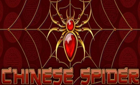 Chinese Spider
