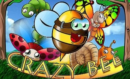 Crazy Bee