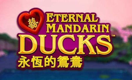 Eternal Manderin Ducks