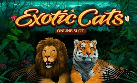 Exotic Cats