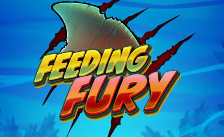 Feeding Fury