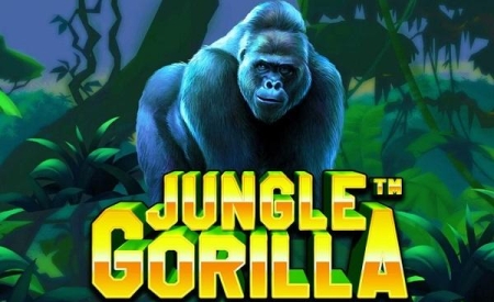 Jungle Gorilla