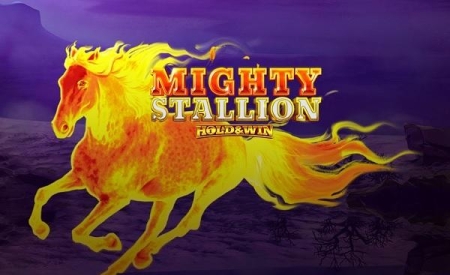 Mighty Stallion