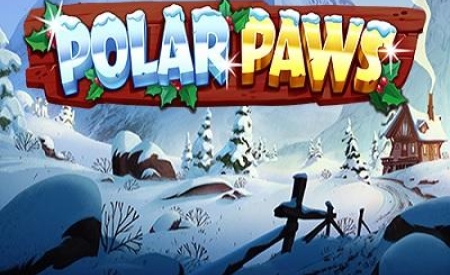 Polar Paws