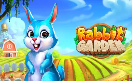 Rabbit Garden