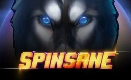 Spinsane