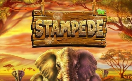 Stampede