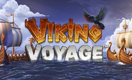 Viking Voyage