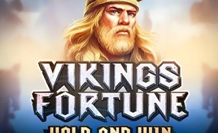 Vikings Fortune