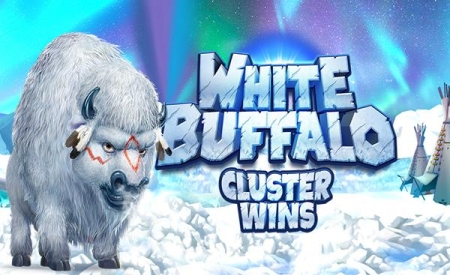 White Buffalo
