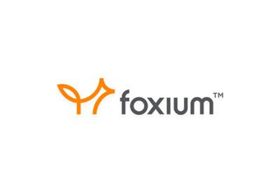 Foxium software casino's